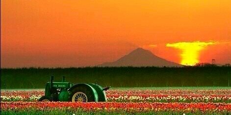 g13s_ap1's profile banner image