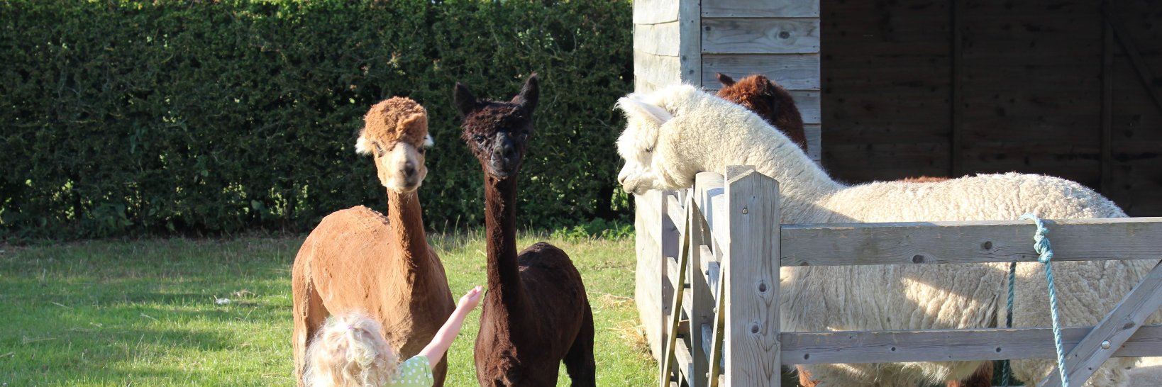 FordBarns's profile banner image