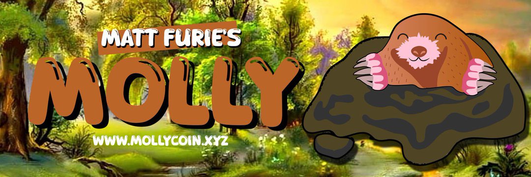 mollycoineth's profile banner image