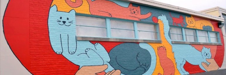 AnimalHouseCats's profile banner image