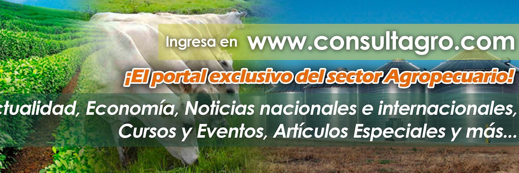 Consultagro Vzla banner