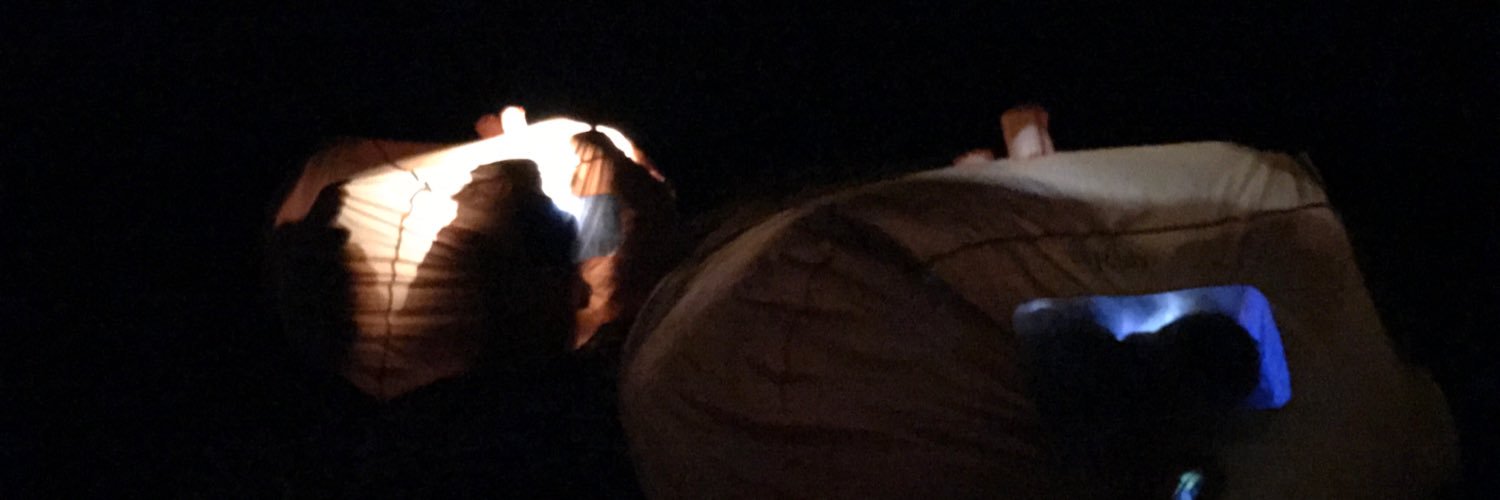 BonnyriggESU's profile banner image