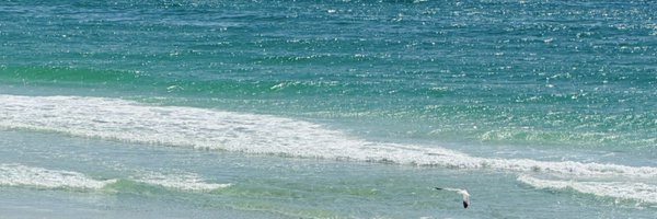 ChantaCombs Profile Banner