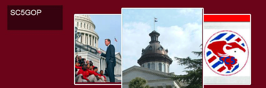 SC5 GOP banner