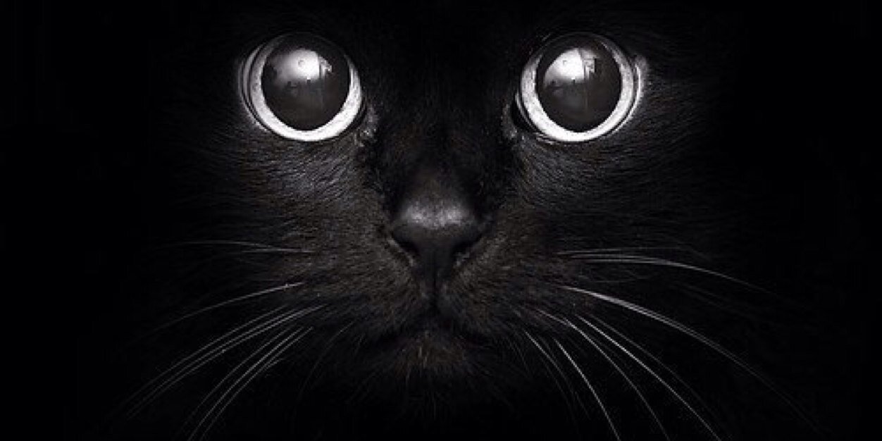 oliviamedinnah's profile banner image
