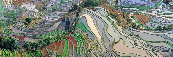 CAPE_AAG Profile Banner