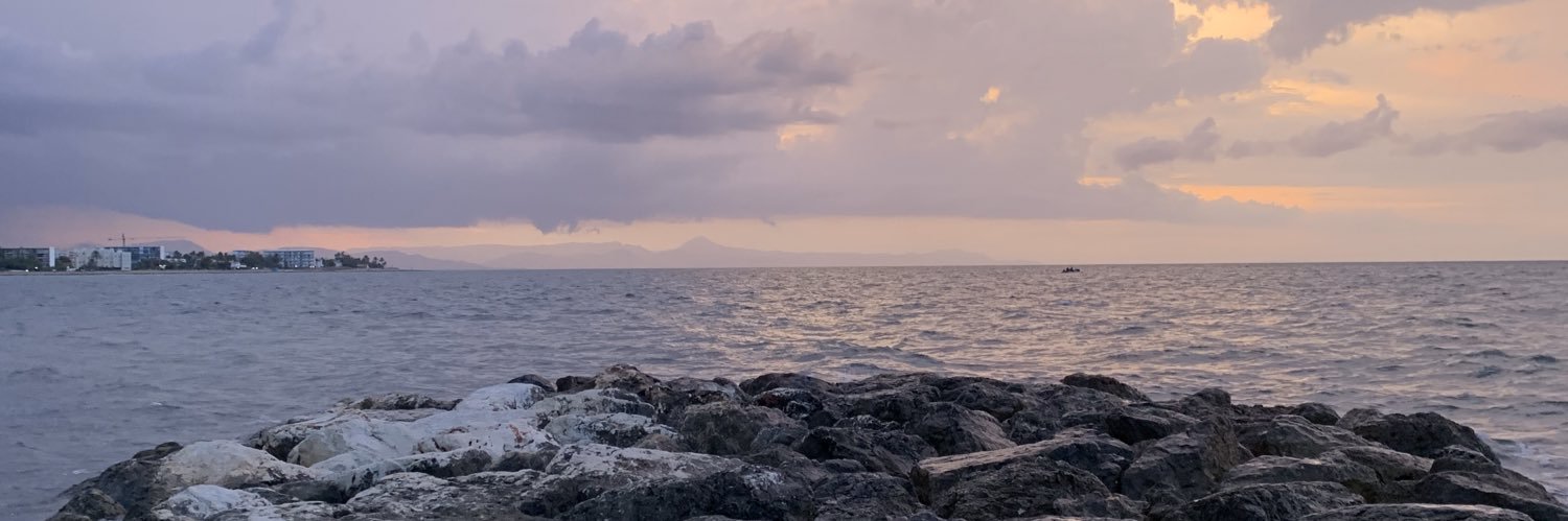 monitodoporella's profile banner image