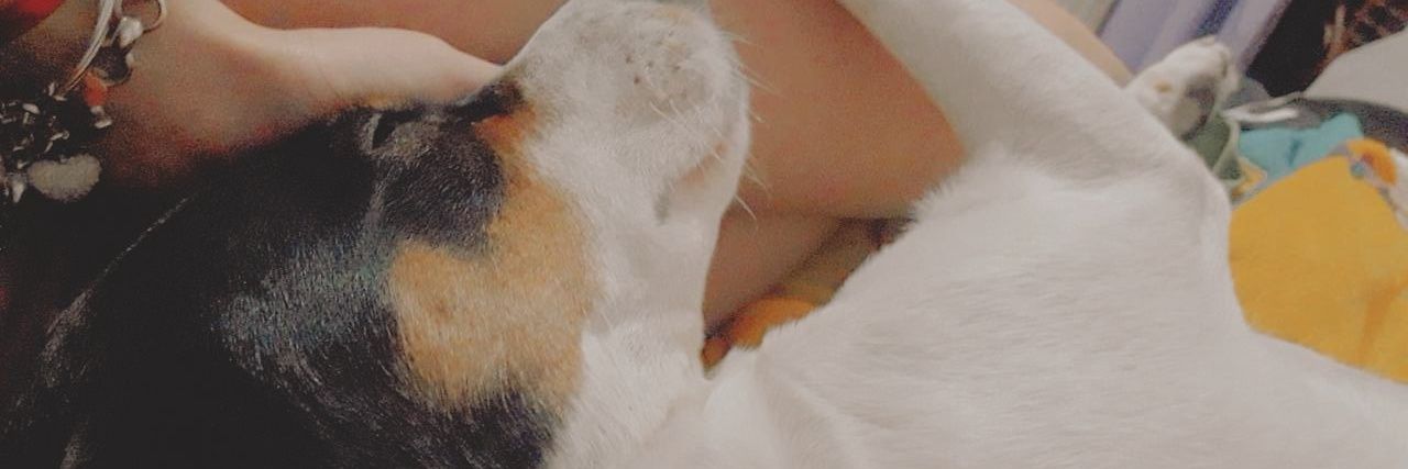 RooosterK's profile banner image