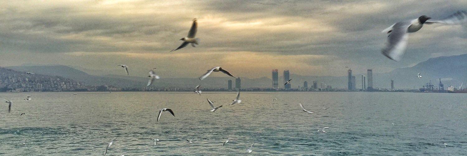 ceyduskaa's profile banner image