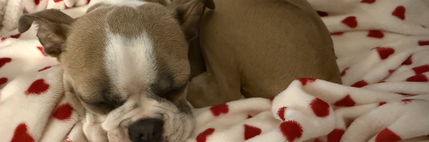 MelyndaJones's profile banner image