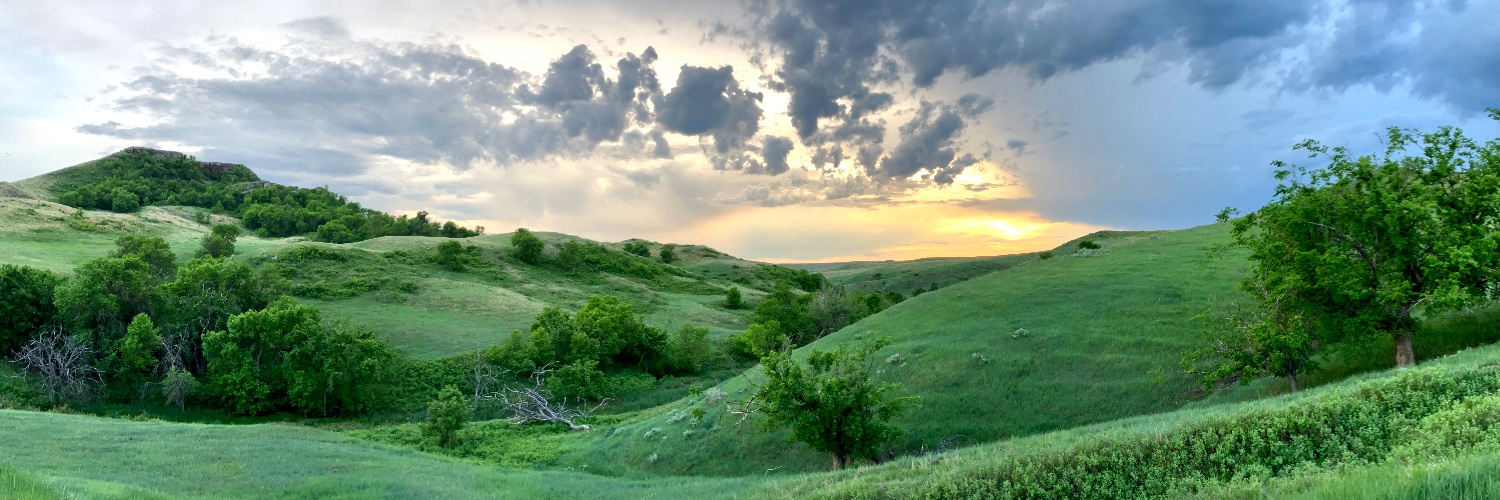 RaeWithAnE's profile banner image