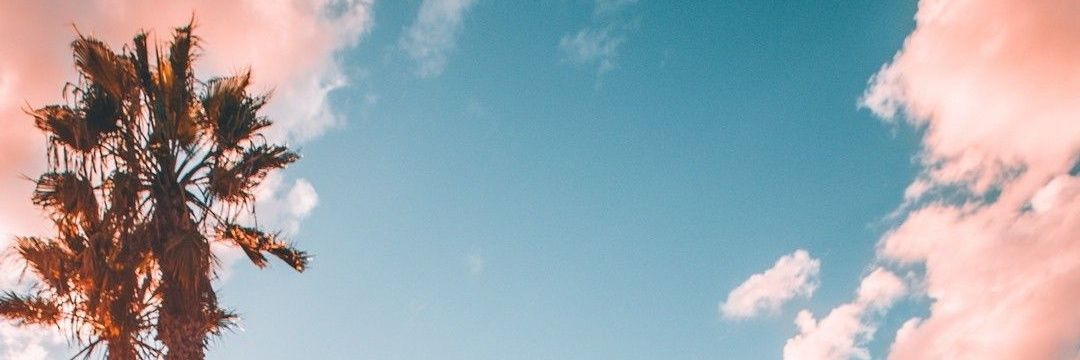 alcindofjr's profile banner image