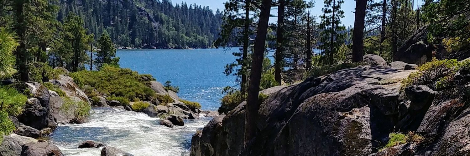 dude 🇺🇸 banner