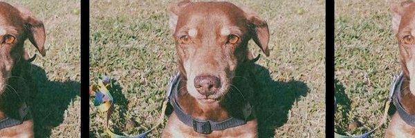 callmekat33 Profile Banner