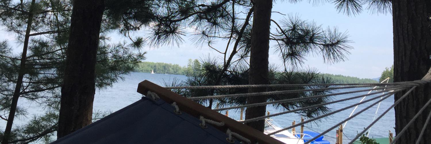 caleyjamison's profile banner image