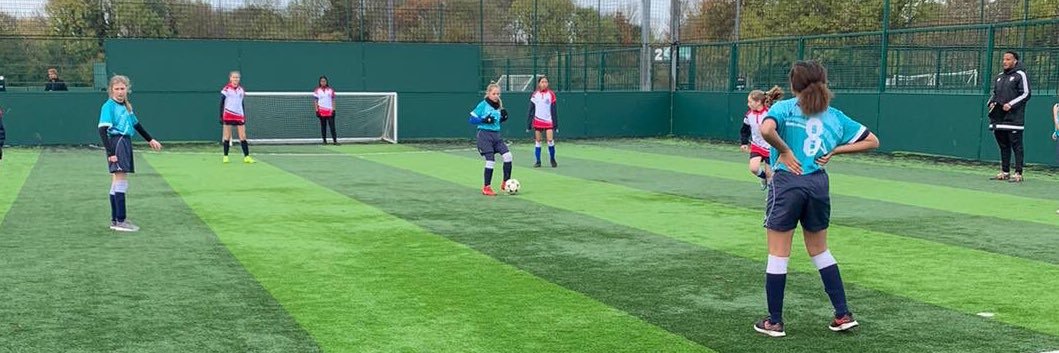 SpringwestAcademy PE banner