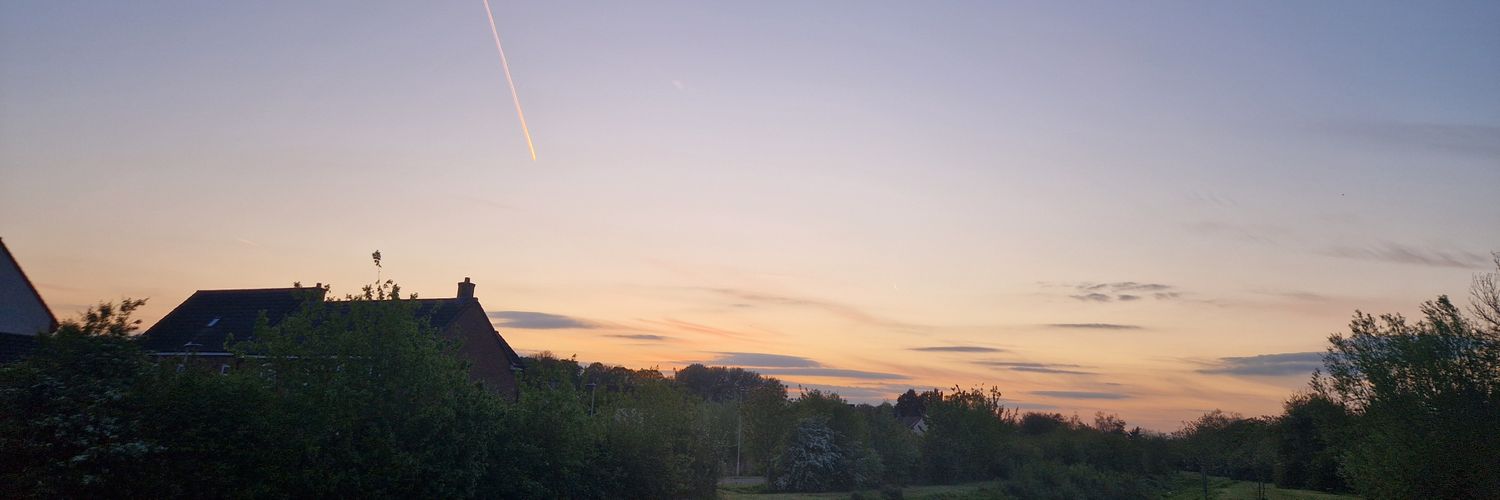 Steve Imm banner