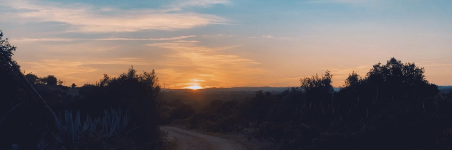 malveiro892's profile banner image