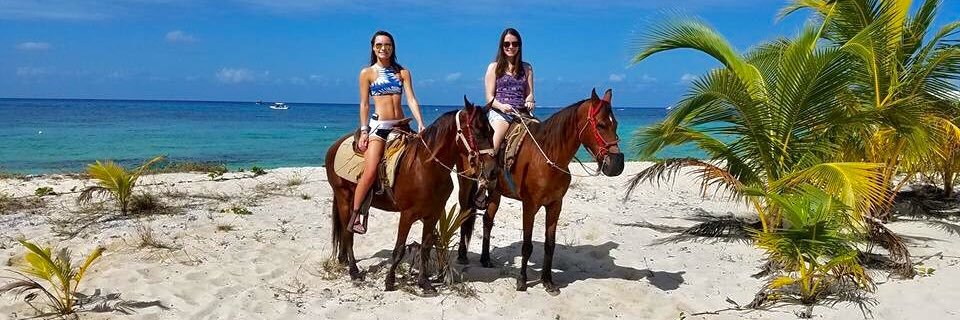 Shelbster7's profile banner image