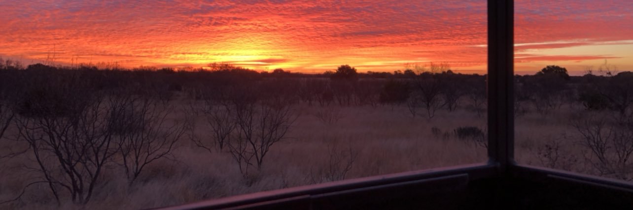 PeacockSA26's profile banner image