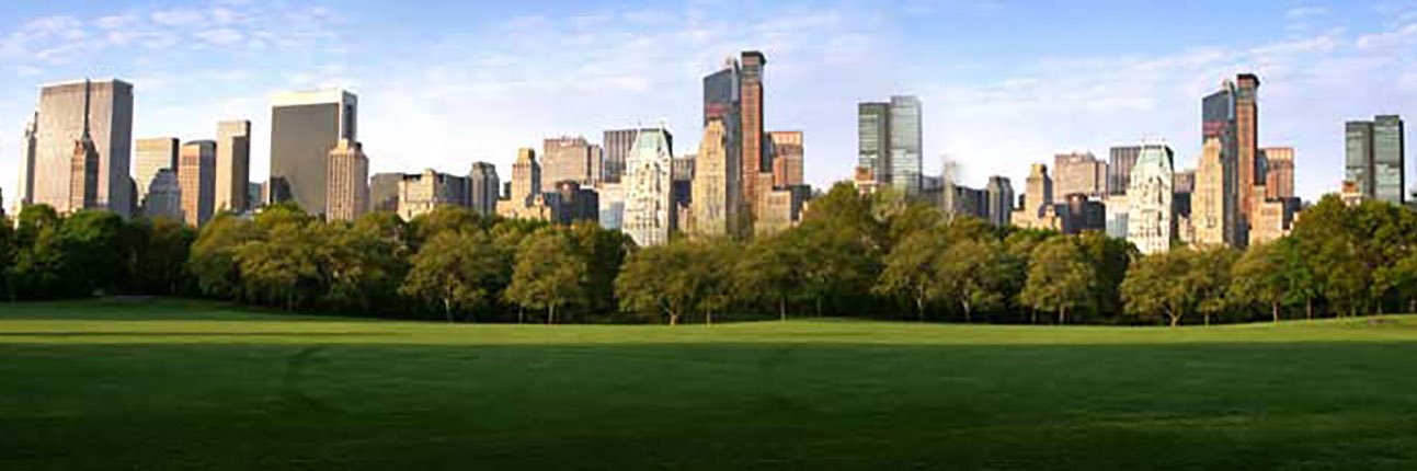 CentralPark_NYC's profile banner image