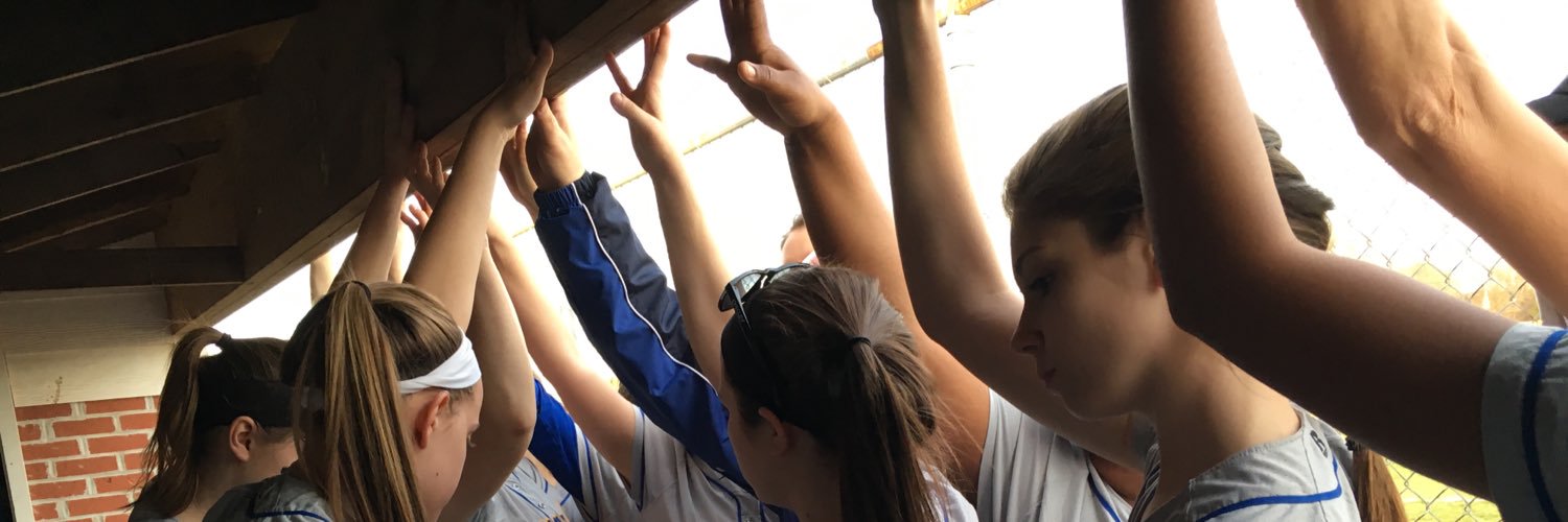 McMichael Softball banner