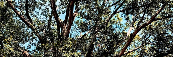 highamfunny Profile Banner