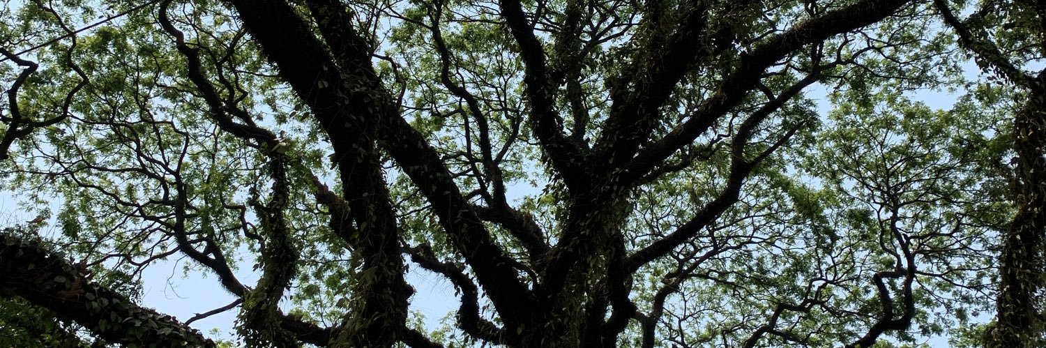 patelanandk's profile banner image