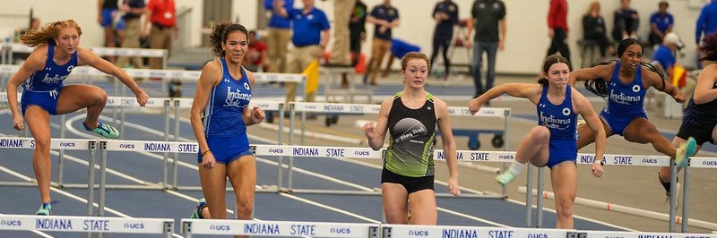 Collette Wolfe banner
