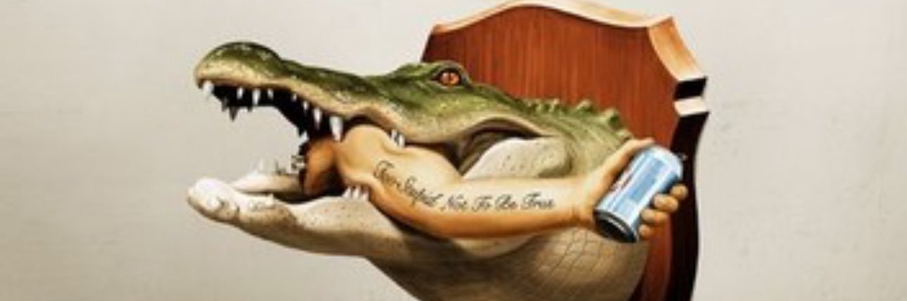 birdman_33's profile banner image