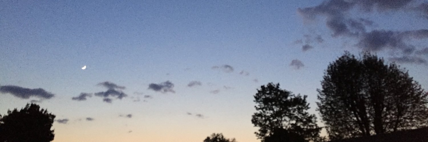 kantonella's profile banner image