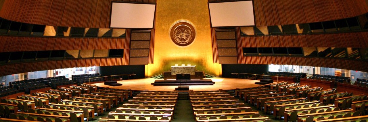 BCSS Model UN banner