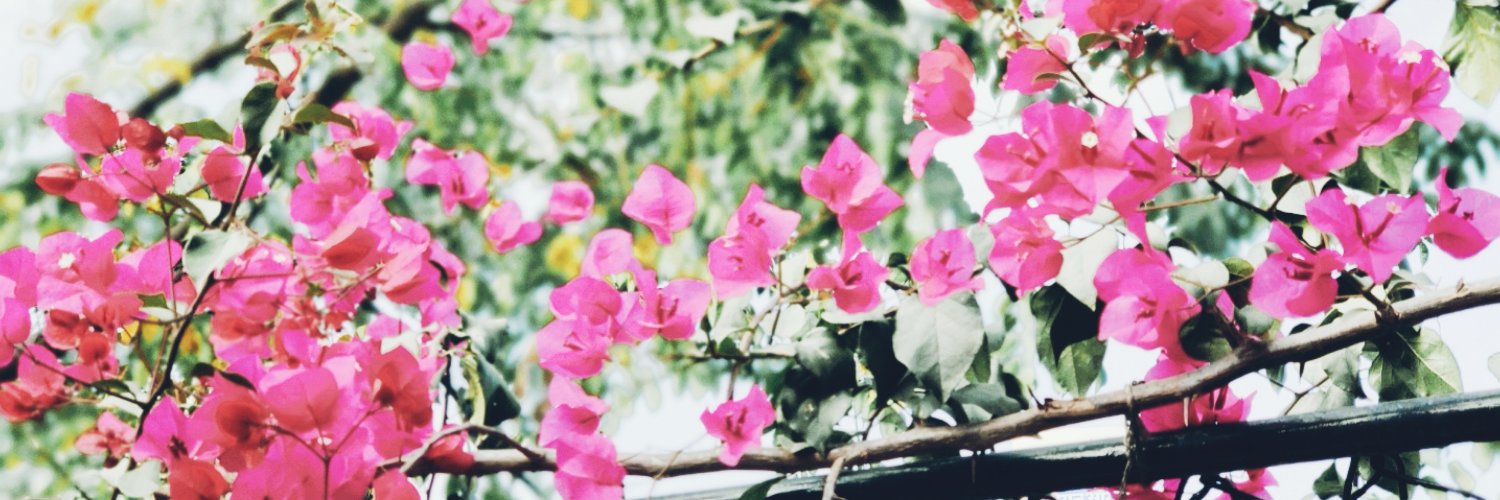 vermaneelmani's profile banner image