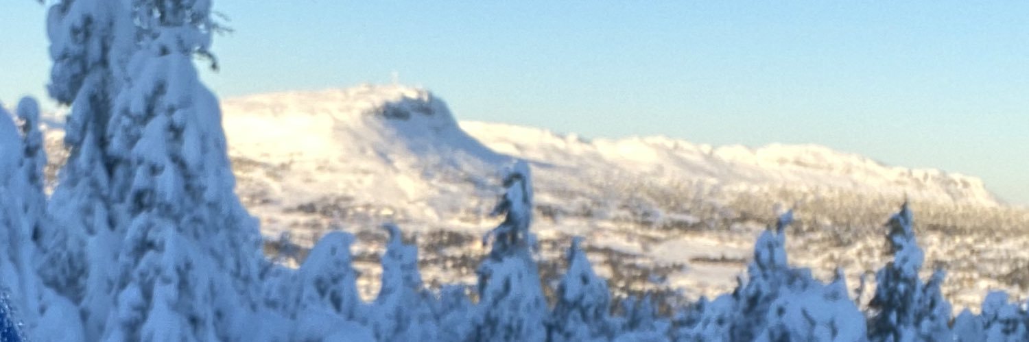 DrMarit's profile banner image