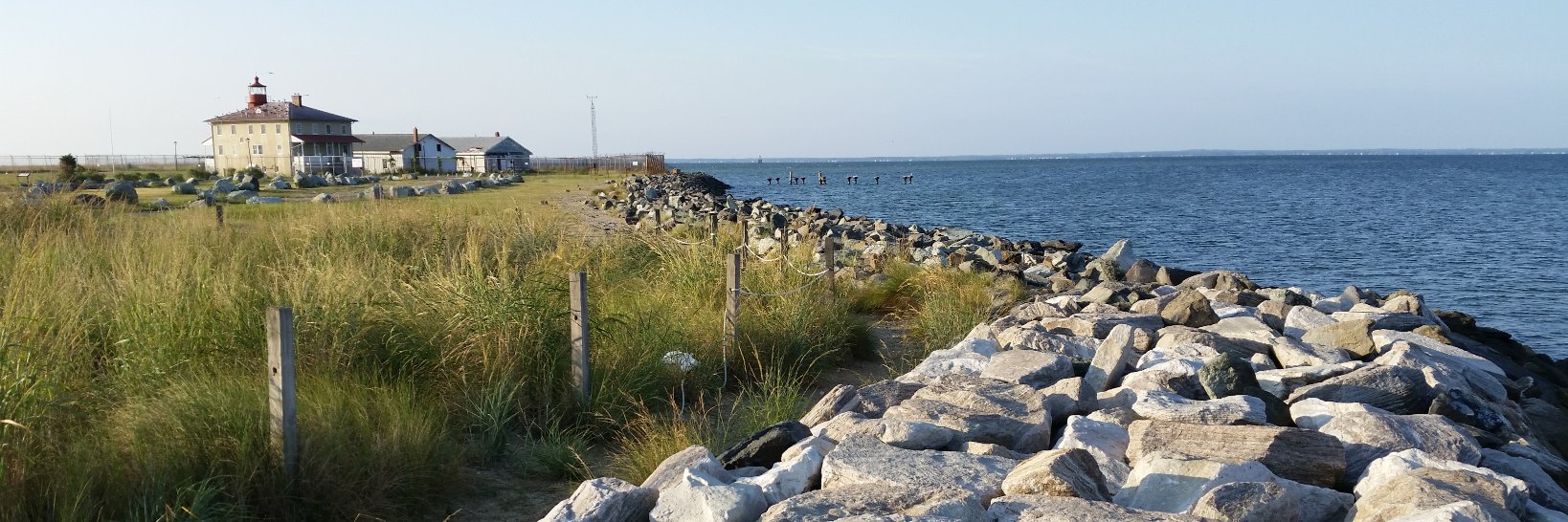 MarylandBiodiversity banner