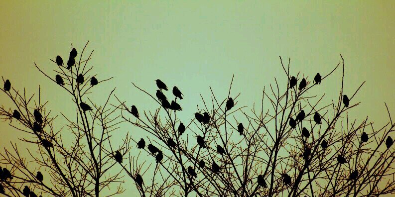 dipa_ahuja's profile banner image