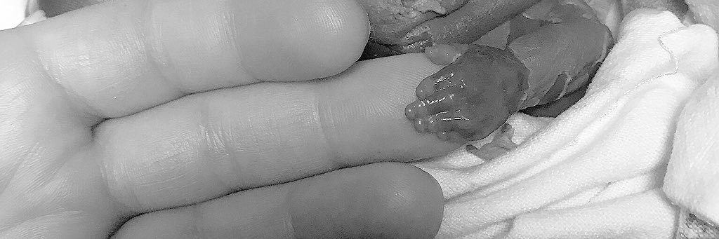 JennaBrett13's profile banner image