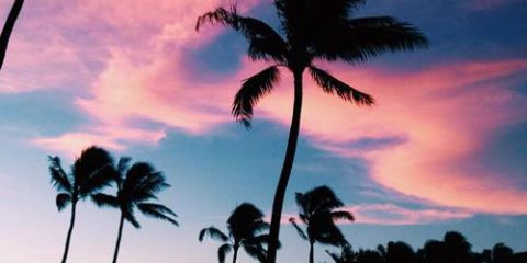 AnaRopexx2's profile banner image