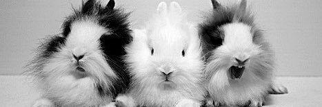 httmpinou's profile banner image