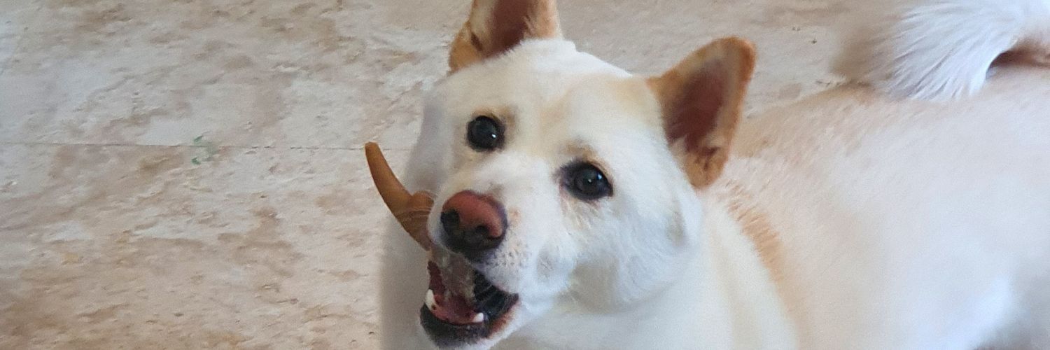 stolen0889's profile banner image