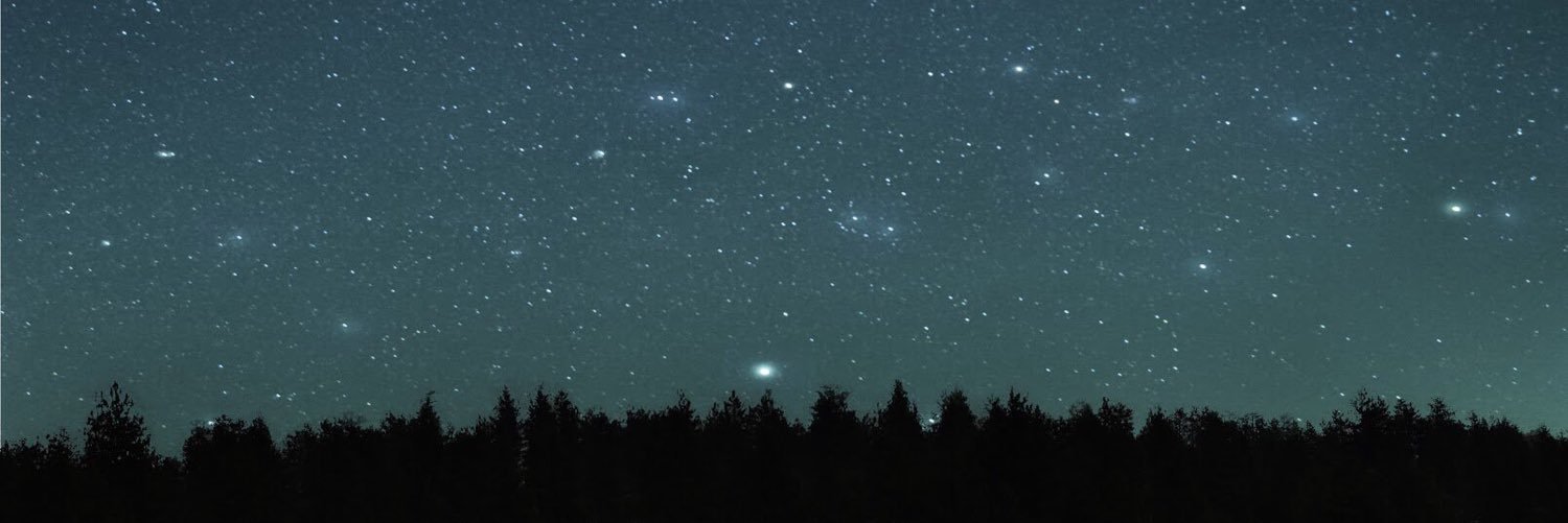 taralynn's profile banner image