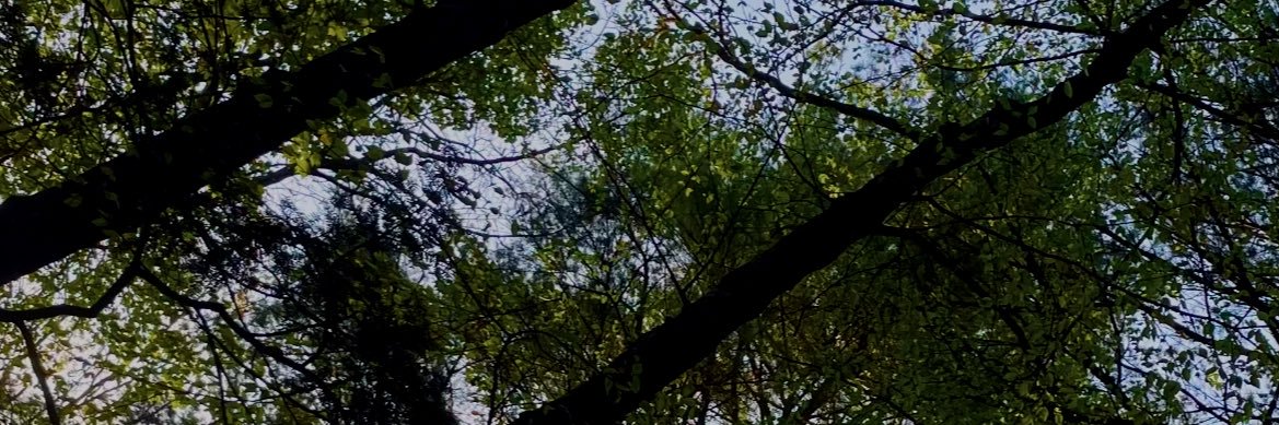 sad_savior's profile banner image