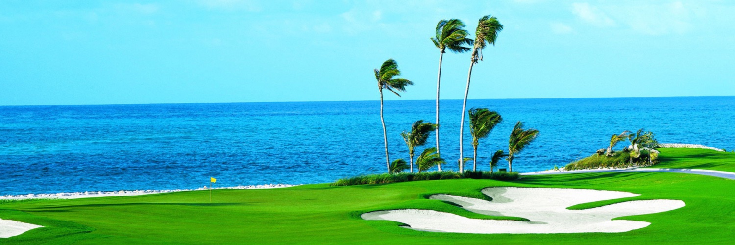 Be🅰️ch Life Capital ☀️🌴⛱️🏝️🛰️ 🧠 💵 banner