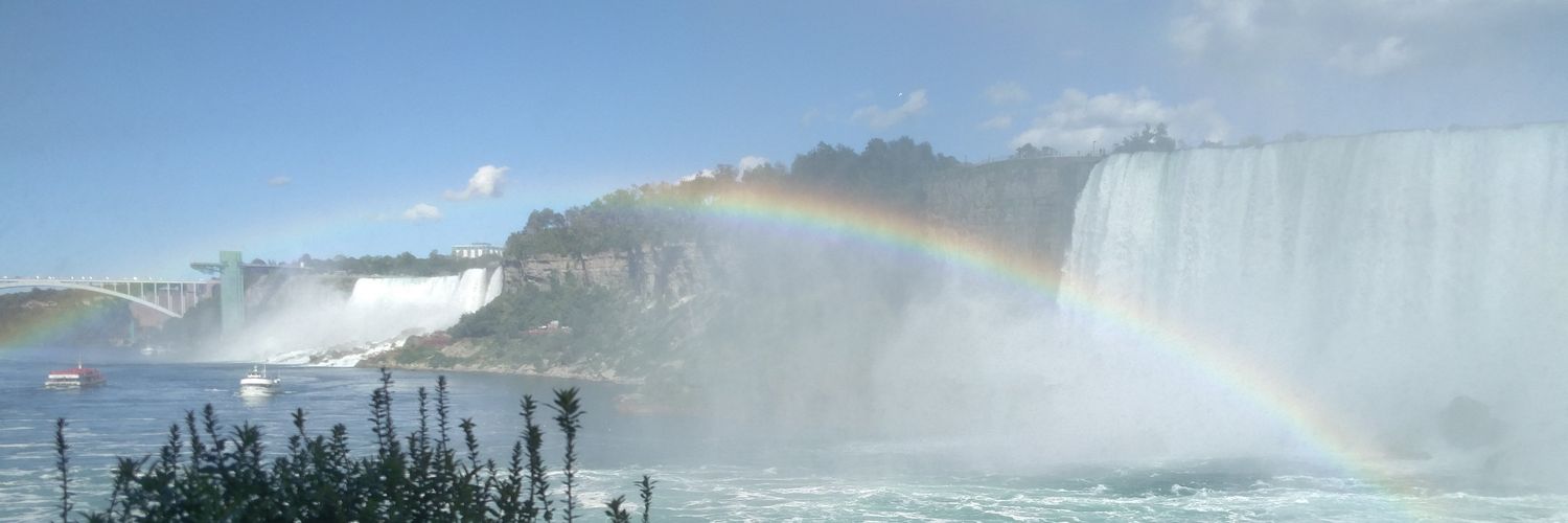 Thenappan (Thenu) Chandrasekar, MD banner
