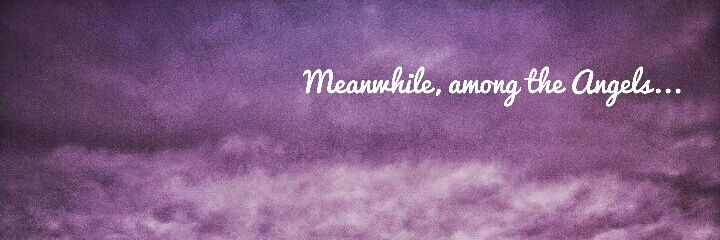 Foxygraphy's profile banner image