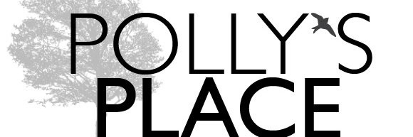 Pollys_Place's profile banner image