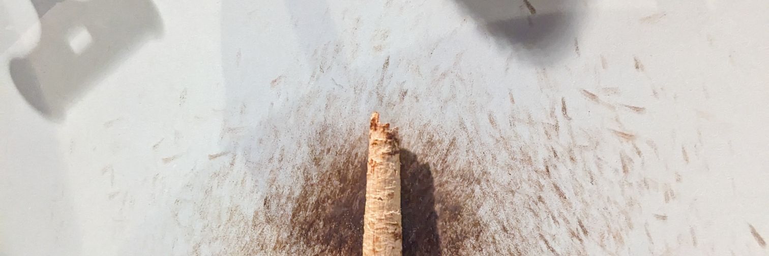 せとりゅうご banner