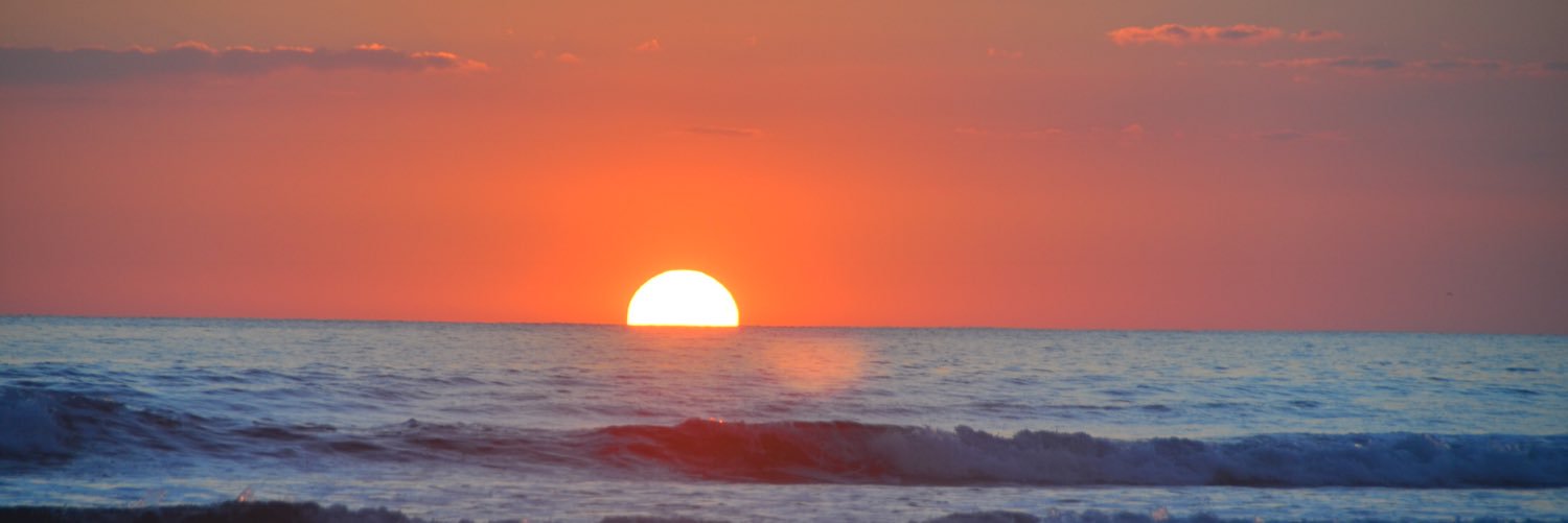 Lana Bezzubiak banner