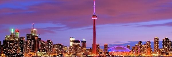 bicberiz's profile banner image