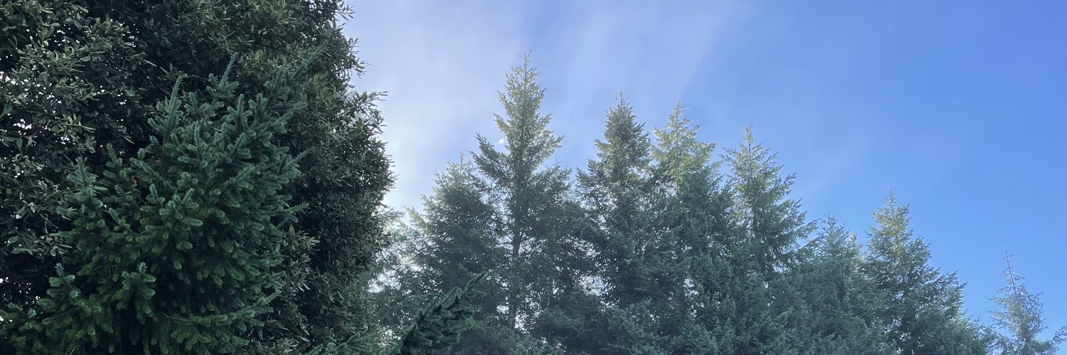 ReannHuber's profile banner image